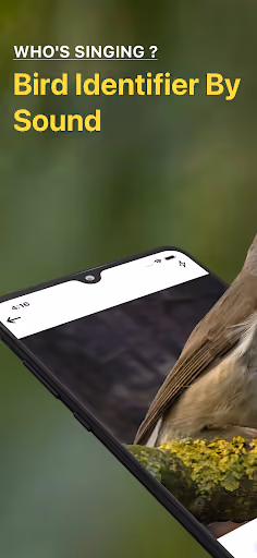 Bird ID paywalls guesses from the wrong continent preview screenshot 1