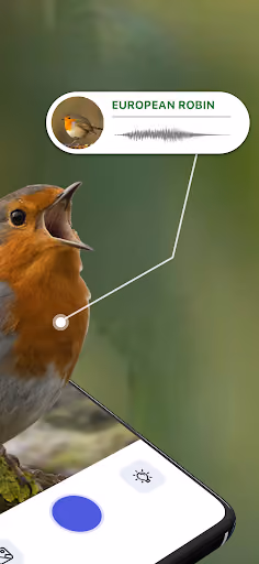 Bird ID paywalls guesses from the wrong continent preview screenshot 2