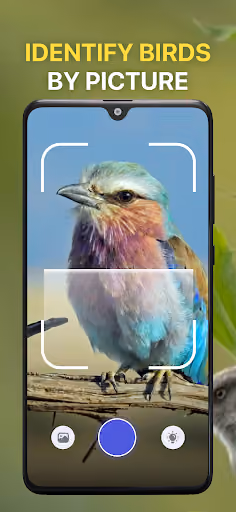 Bird ID paywalls guesses from the wrong continent preview screenshot 3