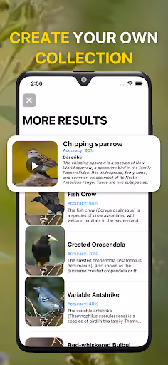 Bird ID paywalls guesses from the wrong continent preview screenshot 5