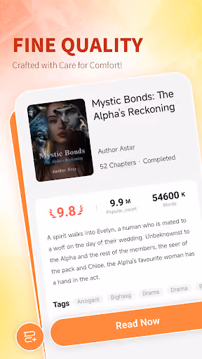 NovelQ made paid reading feel unsafe preview screenshot 4