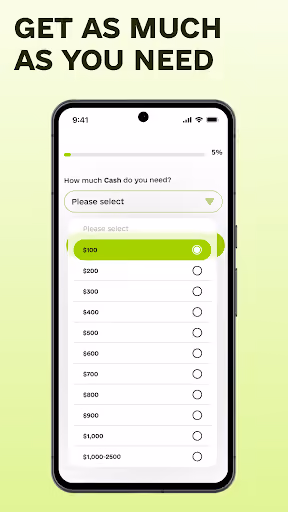 CashHoop users wanted advances, got lead-gen spam preview screenshot 5