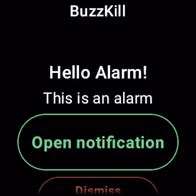 BuzzKill is already the solo-built app a competitor would have to out-build preview screenshot 5